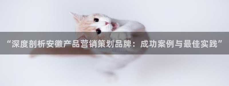 美高梅官网开户app