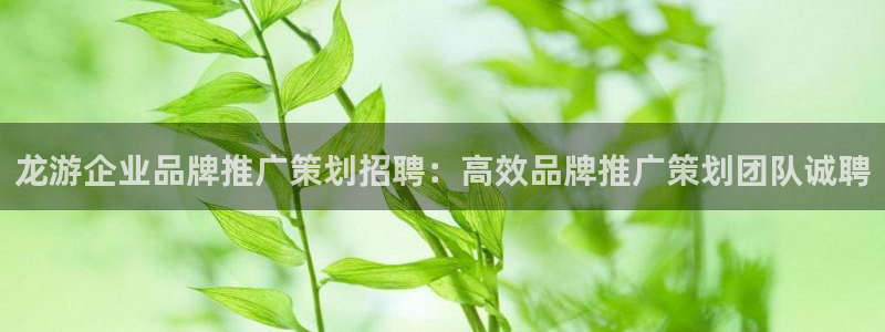 美高梅游戏官网app