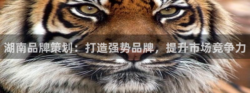 美高梅官网