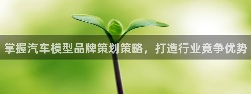 澳门MGM集团4858网址