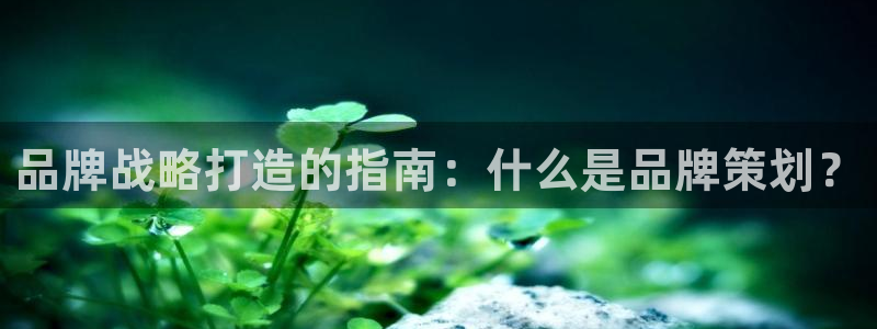 美高梅集团网站是多少
