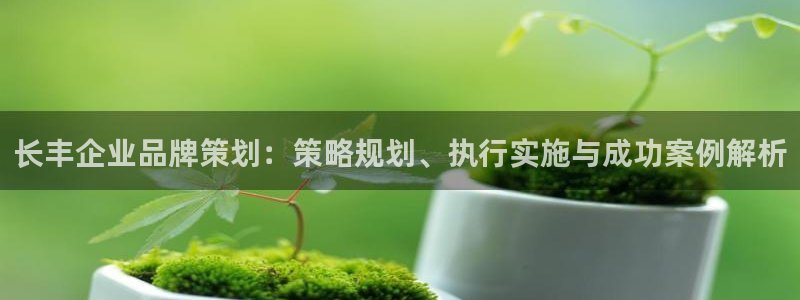 澳门新莆京app美高梅