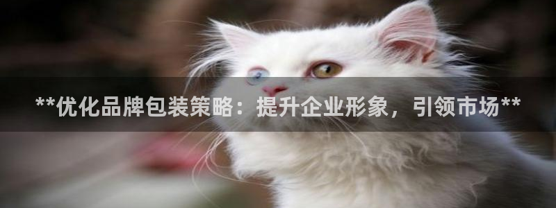 美高梅mgm集团2288