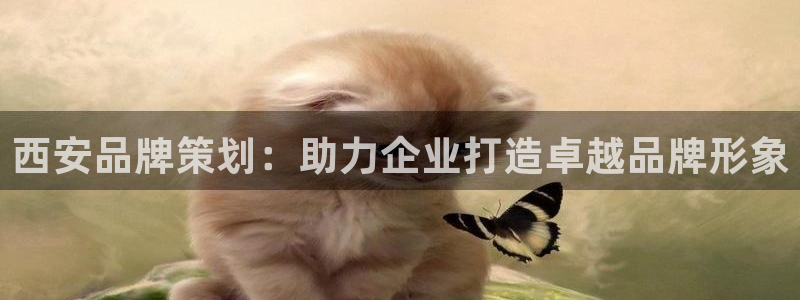 澳门mgm美高梅集团官方网站
