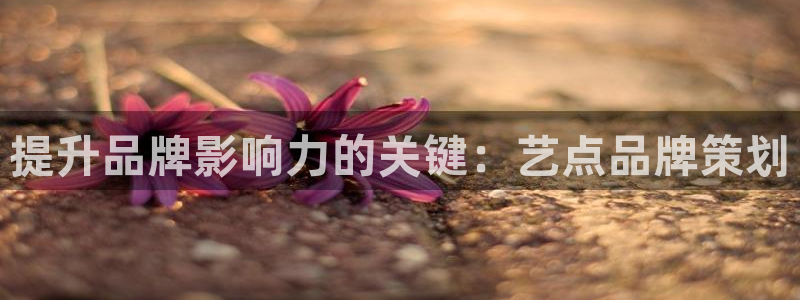 美高梅3澳门开户