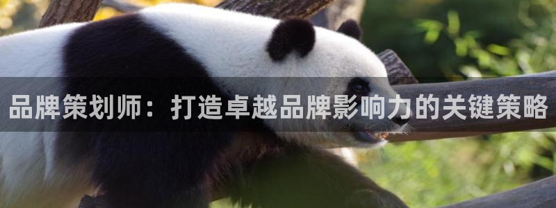 4688美高梅登录中心|品牌策